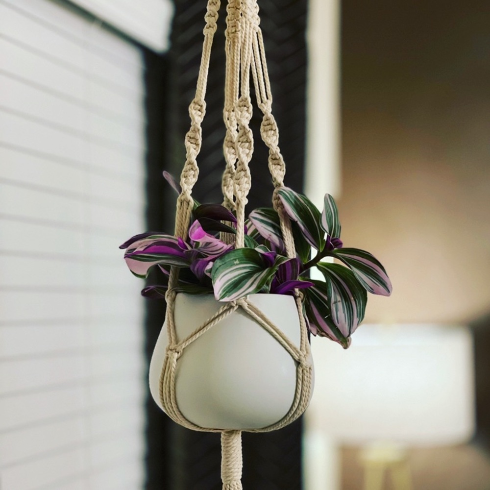 Macrame plant hanger
